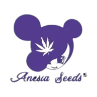 Logo der Samenbank Anesia Seeds