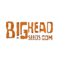 Logo der Samenbank Bighead Seeds