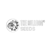 Logo der Samenbank Bulldog Seeds