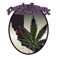 Logo der Samenbank Purple Caper Seeds