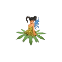 Logo der Samenbank Sativa SeedBank