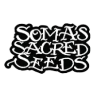 Logo der Samenbank Soma Seeds