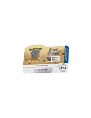 Sweet Cheese – Sweet Seeds – Feminisiert