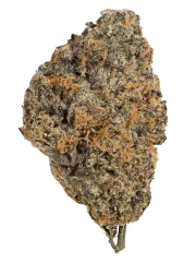 Ice Bomb – Bomb Seeds – Feminisiert