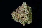 Gelato Auto