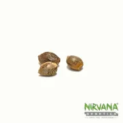 Nirvana Master Kush – Nirvana Seeds – Feminisiert