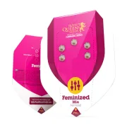 Feminisiert Mix – Royal Queen Seeds – Feminisiert