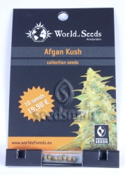 Afghan Kush Cannabisblüte – gewachsen aus Regulaere Hanfsamen von World of Seeds