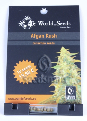 Afghan Kush Cannabisblüte – gewachsen aus Regulaere Hanfsamen von World of Seeds