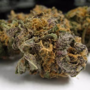 Grape OG Cannabisblüte – gewachsen aus Feminisierte Hanfsamen von Cali Weed