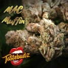 MAC Muffin Cannabisblüte – gewachsen aus Feminisierte Hanfsamen von TasteBudz