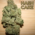 Hash Cake Cannabisblüte – gewachsen aus Feminisierte Hanfsamen von TasteBudz