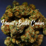 Peanut Butter Cookies Cannabis Blüte - gewachsen aus Feminisierte Hanfsamen für den Anbau