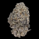 Original Oreoz Cannabisblüte – gewachsen aus Feminisierte Hanfsamen von Growers Choice