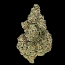 Crazy Roses Fast Version Cannabisblüte – gewachsen aus Feminisierte Hanfsamen von Growers Choice
