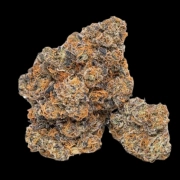 King Louis Garcia Cannabisblüte – gewachsen aus Feminisierte Hanfsamen von Growers Choice