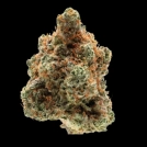 Monkey Glue Cannabisblüte – gewachsen aus Feminisierte Hanfsamen von Growers Choice