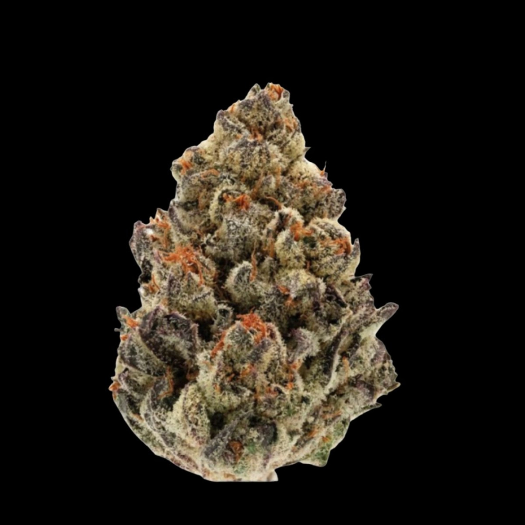 Bruce Banner III – Growers Choice – Feminisiert