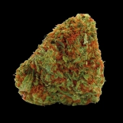 Bubblegum x Fat HOG Cannabisblüte – gewachsen aus Feminisierte Hanfsamen von Growers Choice