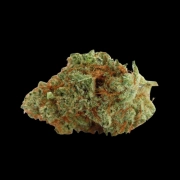 Naranja Biscotti Fast Version Cannabisblüte – gewachsen aus Feminisierte Hanfsamen von Growers Choice