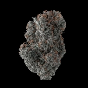 Applez and Bananaz Cannabisblüte – gewachsen aus Feminisierte Hanfsamen von Growers Choice