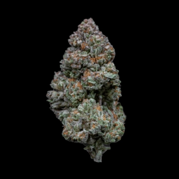 Rainbow Sherbert #11 Cannabisblüte – gewachsen aus Feminisierte Hanfsamen von Growers Choice