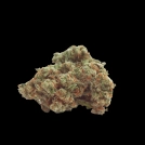 Gorilla Cookies Auto Cannabisblüte – gewachsen aus Automatic Hanfsamen von Growers Choice