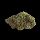 Blue Forest Berry Cannabisblüte – gewachsen aus Feminisierte Hanfsamen von Growers Choice