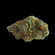 Blue Forest Berry Cannabisblüte – gewachsen aus Feminisierte Hanfsamen von Growers Choice