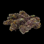 Blue Diesel Cannabisblüte – gewachsen aus Automatic Hanfsamen von Growers Choice