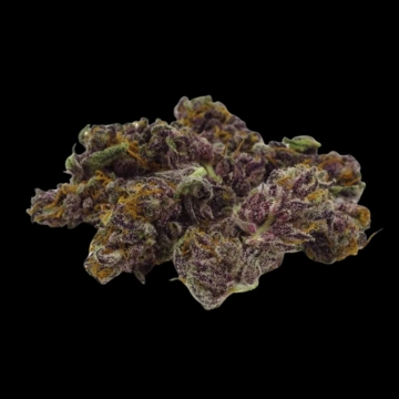 Blue Diesel Cannabisblüte – gewachsen aus Automatic Hanfsamen von Growers Choice