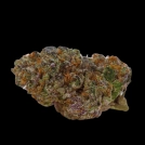 Blue Dream Sherbet Cannabisblüte – gewachsen aus Automatic Hanfsamen von Growers Choice