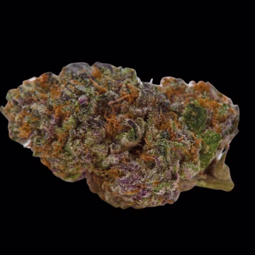 Blue Dream Sherbet Cannabisblüte – gewachsen aus Feminisierte Hanfsamen von Growers Choice