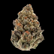 Bruce Banner Auto Cannabisblüte – gewachsen aus Automatic Hanfsamen von Growers Choice