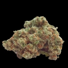 Gorilla Cookies Cannabisblüte – gewachsen aus Feminisierte Hanfsamen von Growers Choice