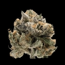 Tropical Cookies Cannabisblüte – gewachsen aus Feminisierte Hanfsamen von Growers Choice