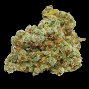 Double xl Banana Sherbet Auto Cannabisblüte – gewachsen aus Automatic Hanfsamen von Growers Choice