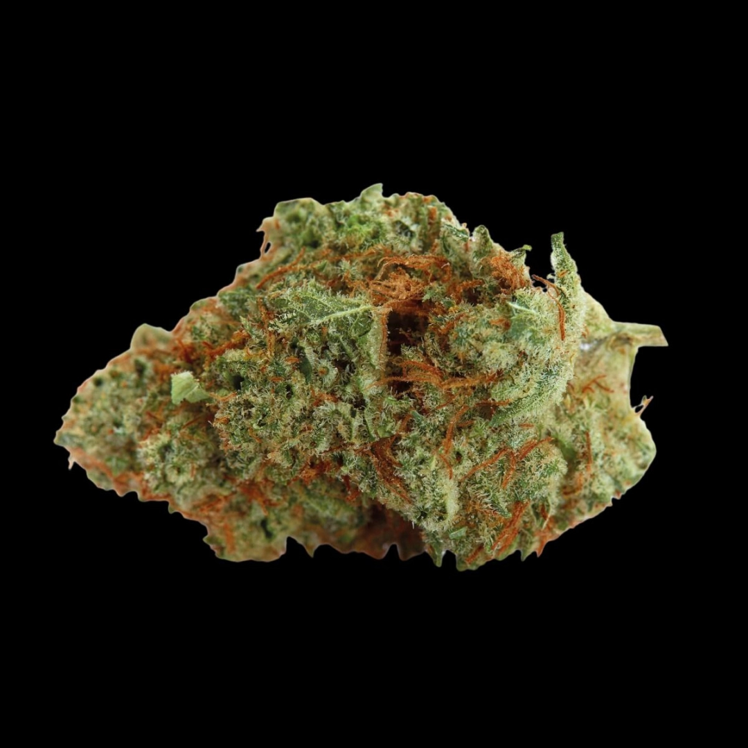 Naranja Biscotti – Growers Choice – Feminisiert