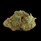 Naranja Biscotti Cannabisblüte – gewachsen aus Feminisierte Hanfsamen von Growers Choice