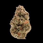 Rainbow Candy Cannabisblüte – gewachsen aus Feminisierte Hanfsamen von Growers Choice
