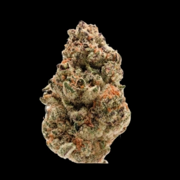 Rainbow Candy Cannabisblüte – gewachsen aus Feminisierte Hanfsamen von Growers Choice