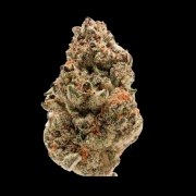 Rainbow Candy Cannabisblüte – gewachsen aus Automatic Hanfsamen von Growers Choice