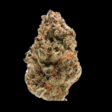 Rainbow Candy Cannabisblüte – gewachsen aus Automatic Hanfsamen von Growers Choice