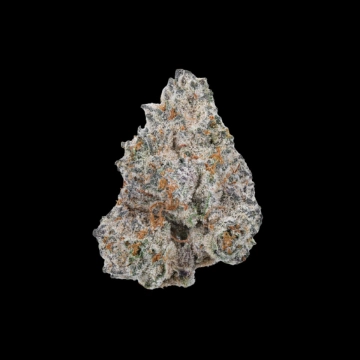 White Truffle Cannabisblüte – gewachsen aus Feminisierte Hanfsamen von Growers Choice