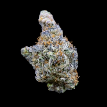 Mimosa Gusher Limited Edition Cannabisblüte – gewachsen aus Feminisierte Hanfsamen von Growers Choice