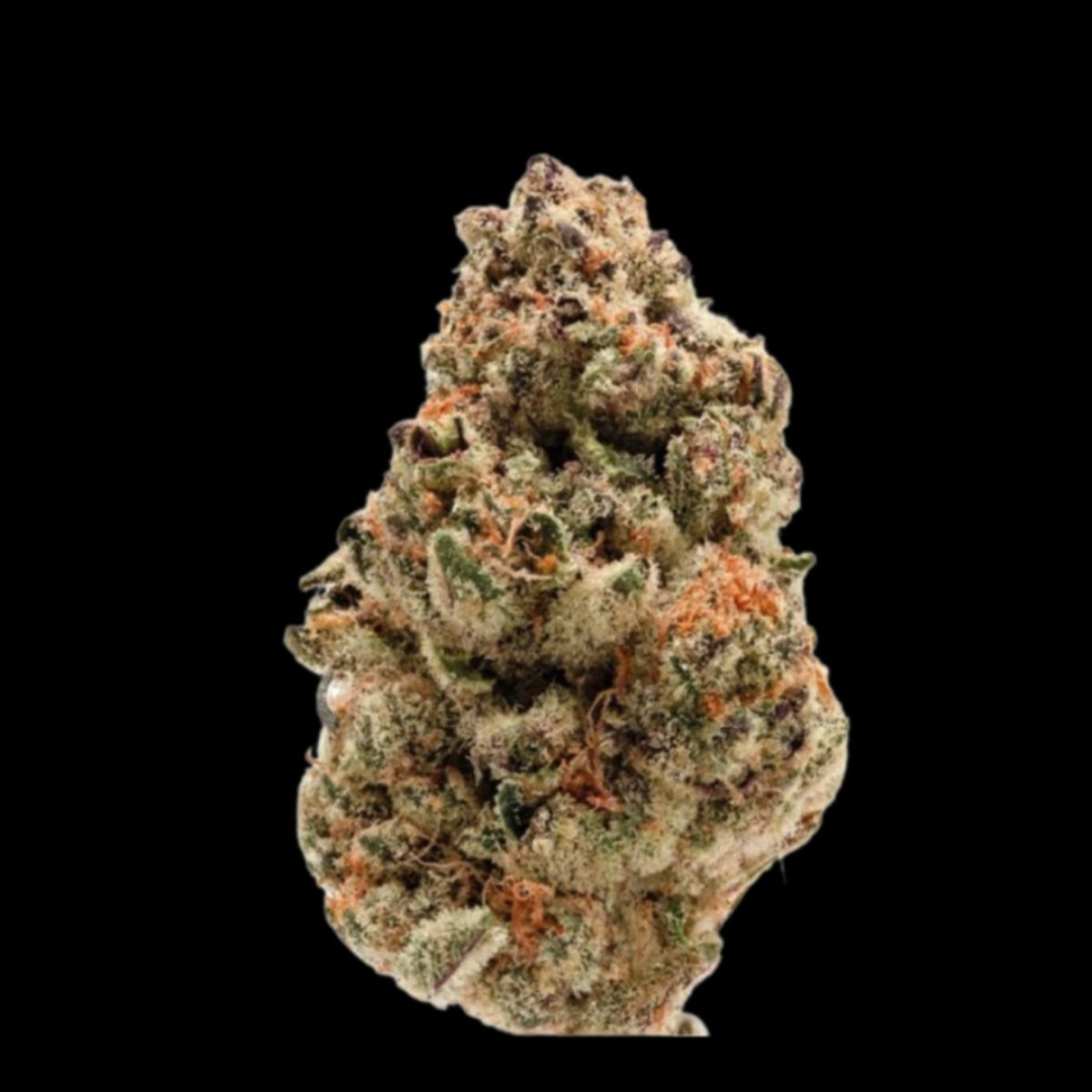 Zkittlez – Growers Choice – Feminisiert
