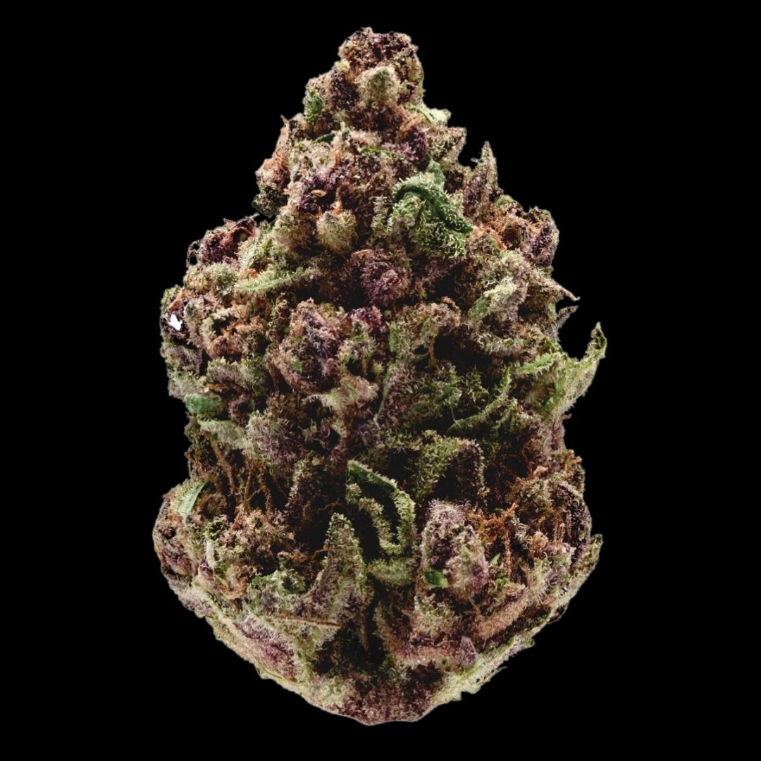 Pink Magic Fast Version – Growers Choice – Feminisiert