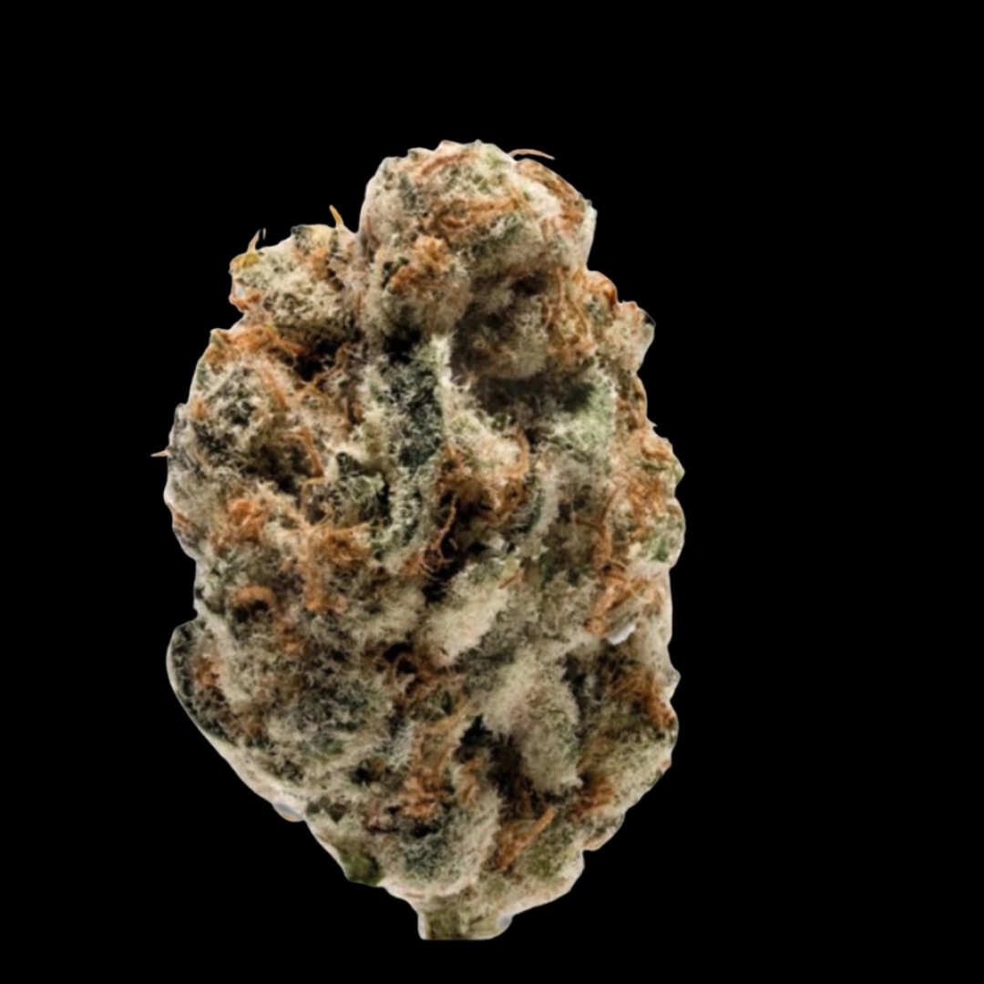 KO Kush – Growers Choice – Feminisiert