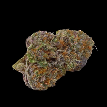 Purple Dosi Punch Cannabisblüte – gewachsen aus Feminisierte Hanfsamen von Growers Choice
