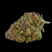 Purple Sunset Cannabisblüte – gewachsen aus Feminisierte Hanfsamen von Growers Choice